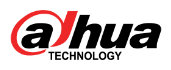 Dahua Logo